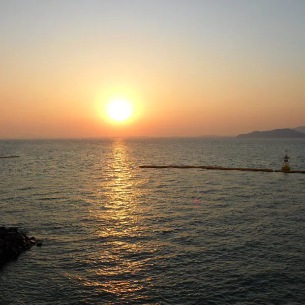 로열 아린스튜디오 홈타이 대표 안내 이미지