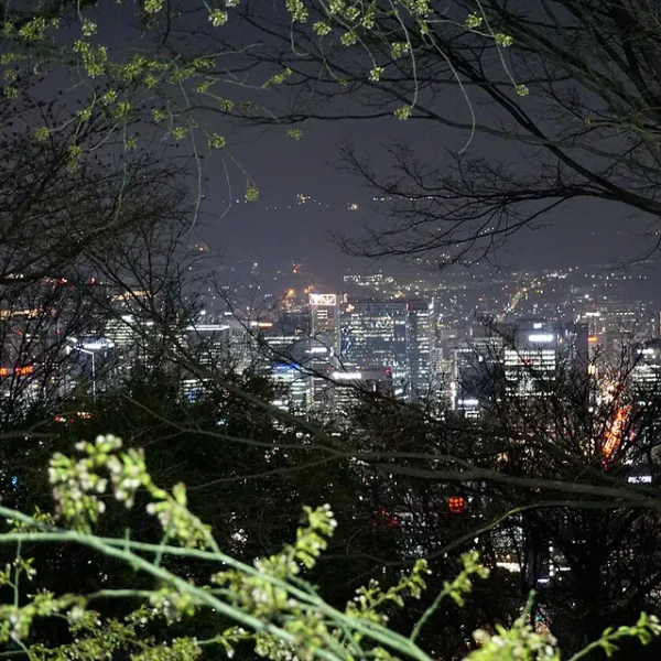 베르디스파 테라피 대표 안내 이미지