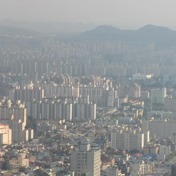 프리미엄 지효하우스 홈타이 대표 안내 이미지